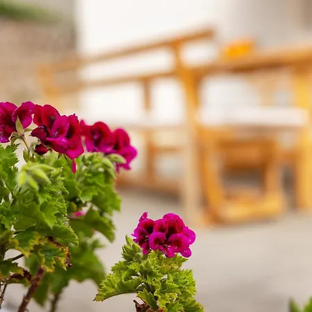 Apartmán Robert With Terrace