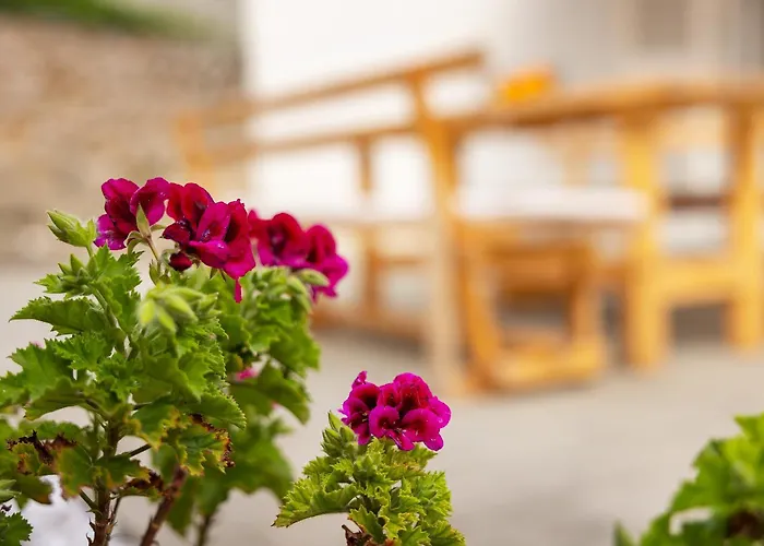 Appartement Robert With Terrace