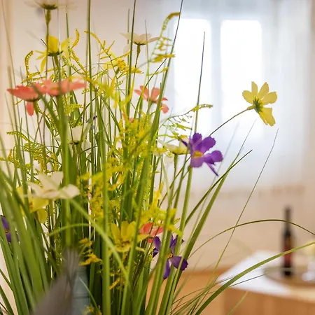 Robert With Terrace *